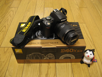 Nikon D40x