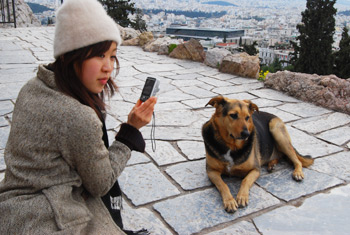 写真：犬とミナボー